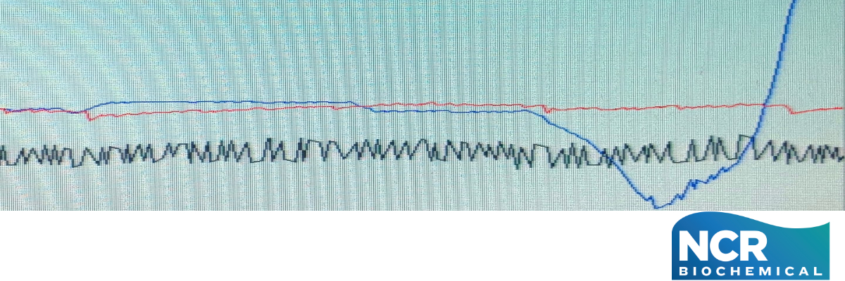 Grafik mit der Durchlässigkeit eines Pressfilzes vor, während und nach einer Onlinewäsche